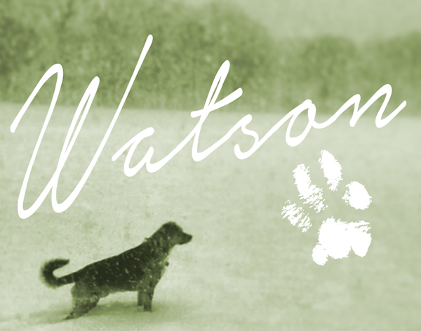 Watson-the-Dog